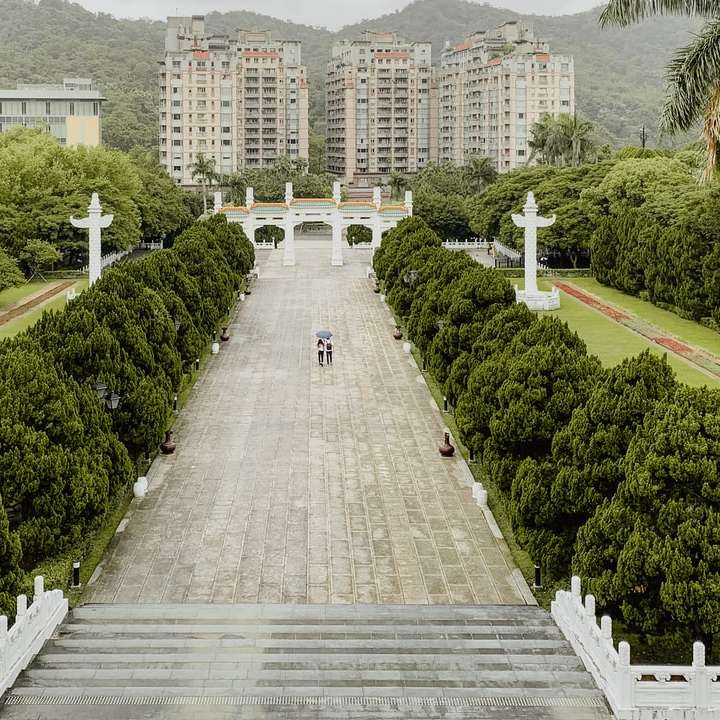 szara betonowa ścieżka między zielonymi drzewami i roślinami puzzle przesuwne online