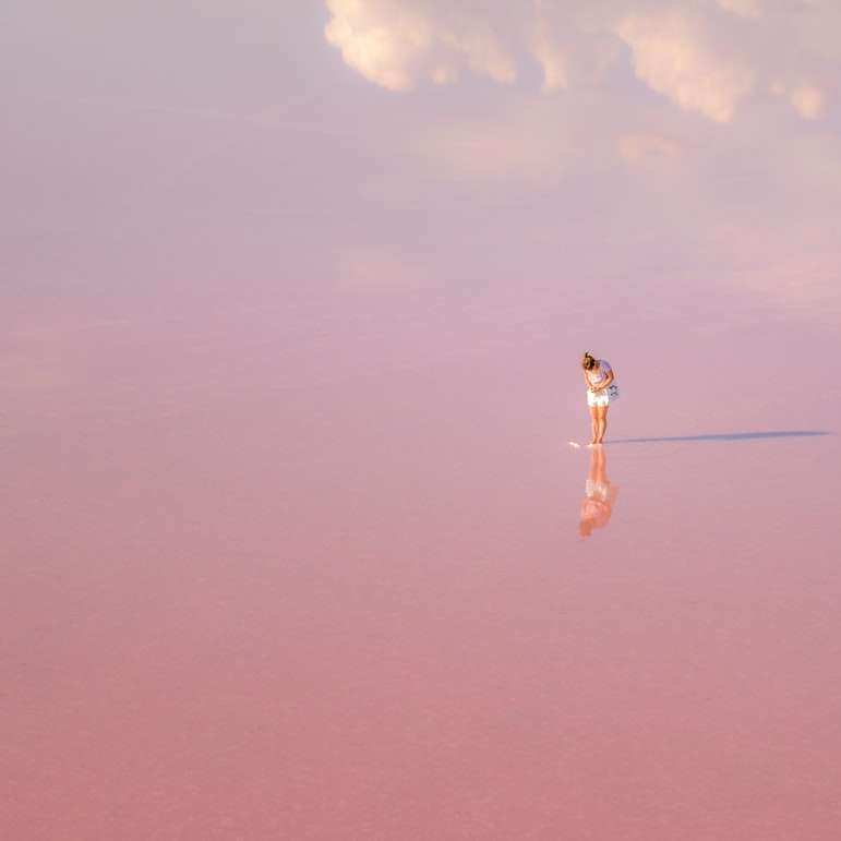 жена в бяла рокля, стояща върху кафяв пясък под синьо небе онлайн пъзел