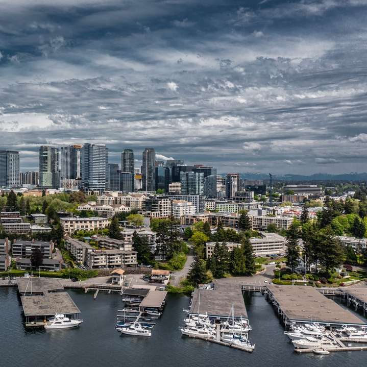 vedere aeriană a clădirilor orașului în timpul zilei puzzle online