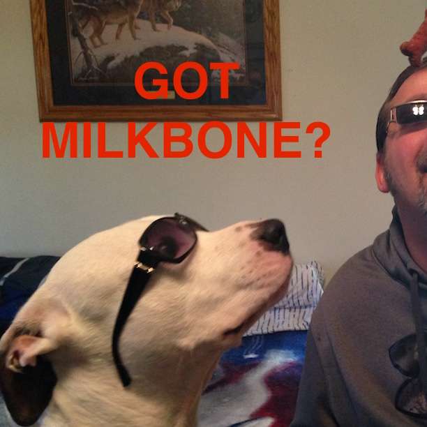 Milkbone online παζλ