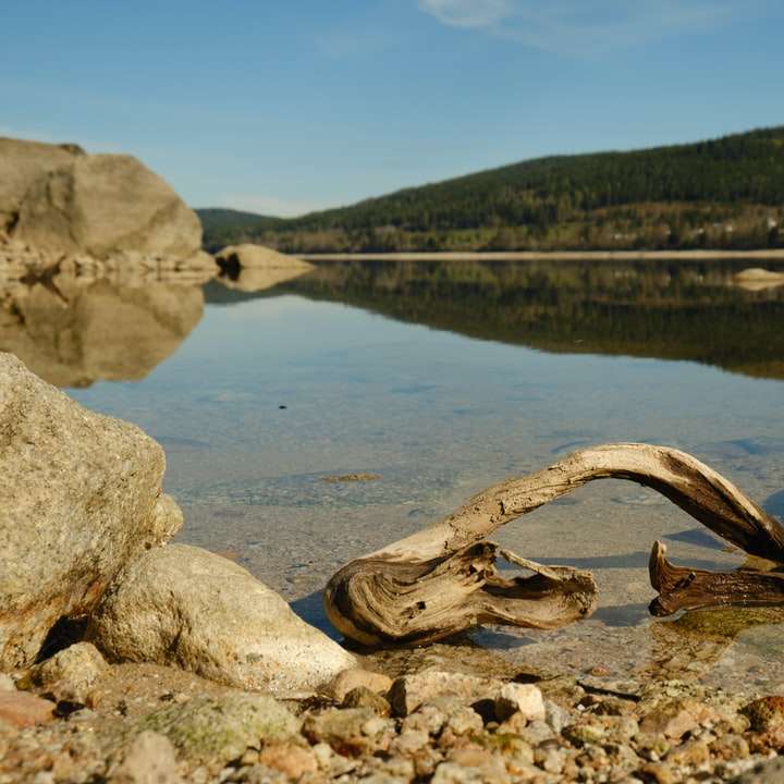 tronco di legno marrone sulla sabbia grigia vicino al lago durante il giorno puzzle scorrevole online