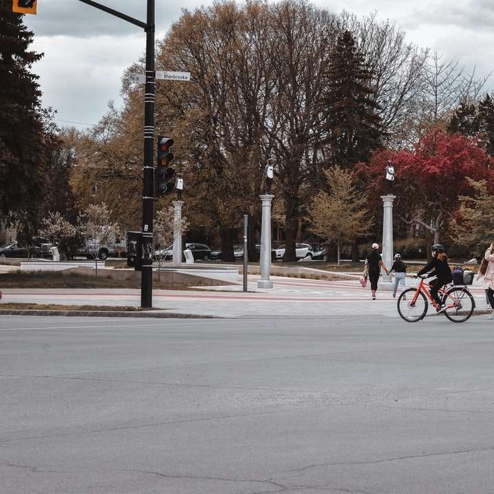 ludzie jeżdżący na rowerach po drodze w pobliżu nagich drzew puzzle przesuwne online