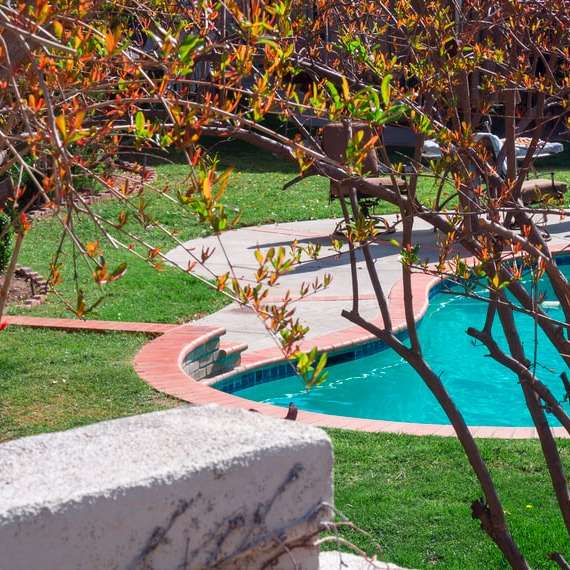 árvore de folhas verdes perto da piscina durante o dia puzzle deslizante online