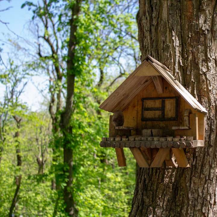 Casă de păsări din lemn maro pe copac puzzle online