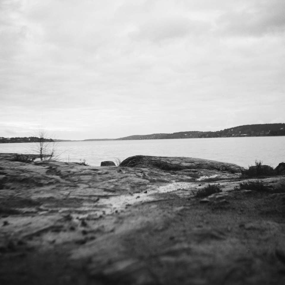grayscale photo of a lake sliding puzzle online