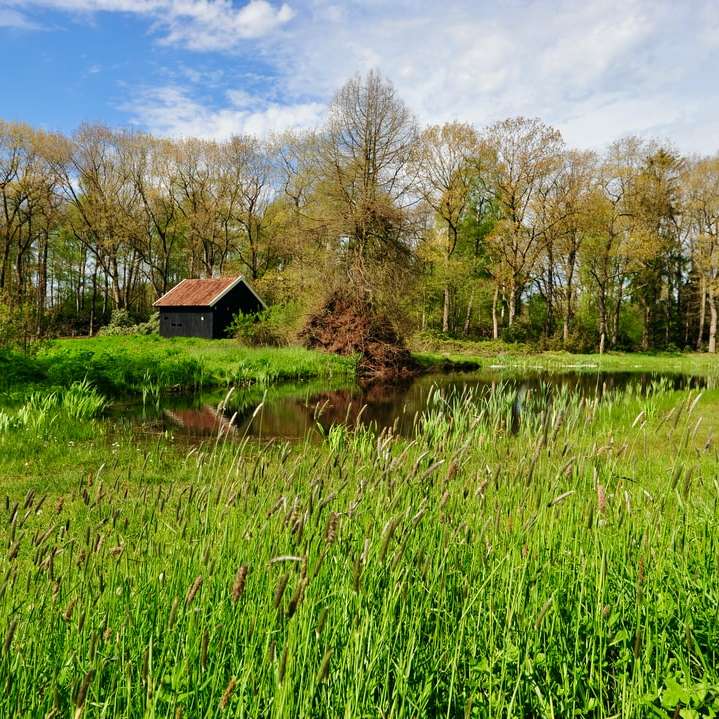 коричневий дерев'яний будинок на зеленій траві поля біля озера розсувний пазл онлайн