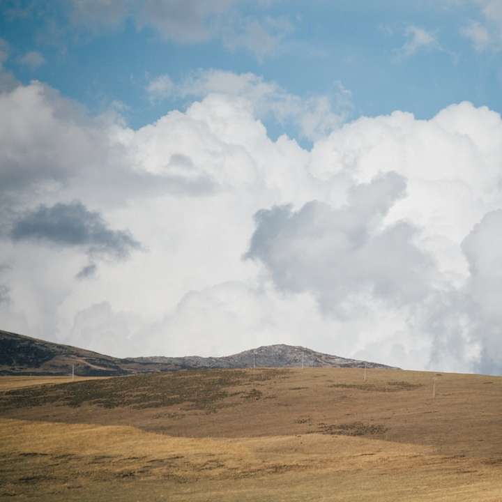 білі хмари над коричневим полем онлайн пазл
