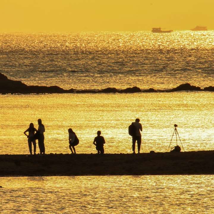 silueta lidí stojících na pobřeží při západu slunce online puzzle