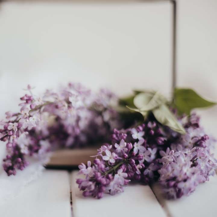 lila blommor på vitt bord glidande pussel online