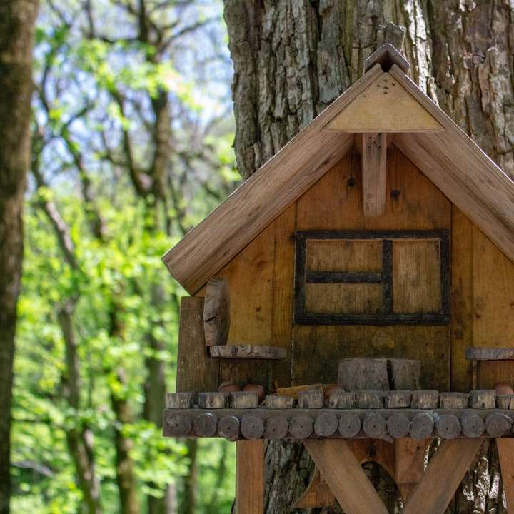 hnědá dřevěná ptačí budka na stromě online puzzle
