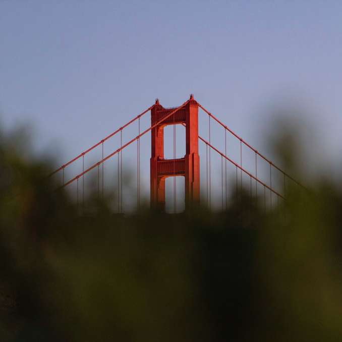 Мост Золотые Ворота в Сан-Франциско, Калифорния онлайн-пазл