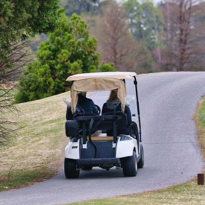 white golf cart on road during daytime sliding puzzle online