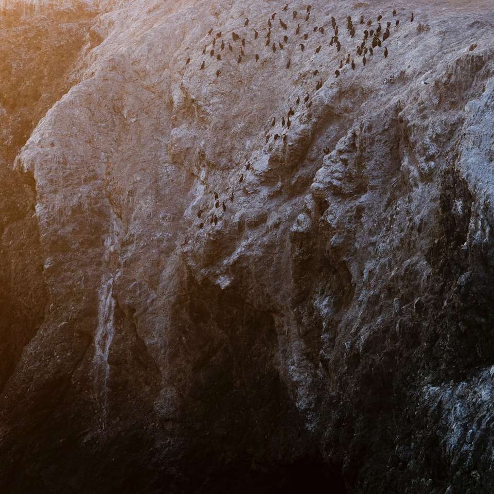 barna sziklás hegy mellett víztömeg nappal online puzzle