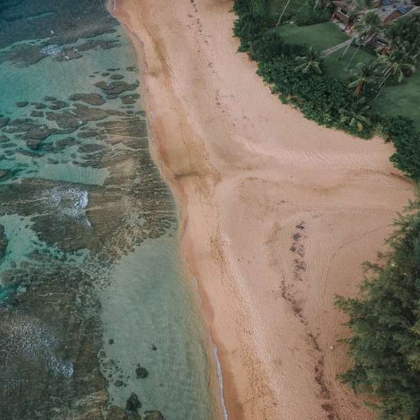 widok z lotu ptaka na brązową plażę piaszczystą puzzle przesuwne online