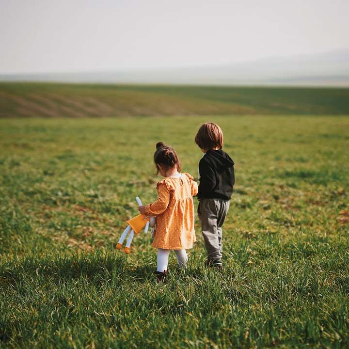 хлопчик і дівчинка гуляють по зеленій траві поля в денний час розсувний пазл онлайн