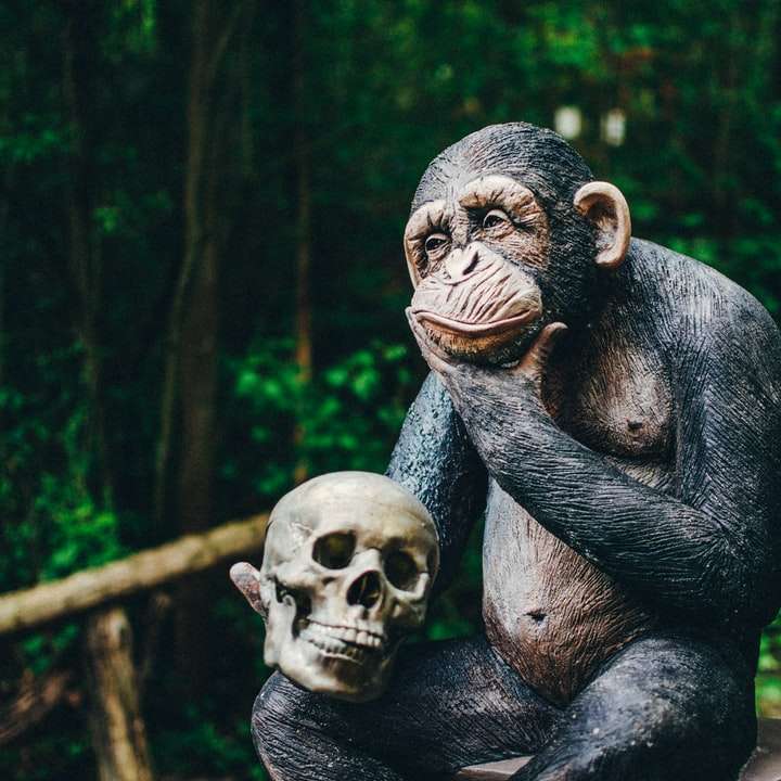 svart gorilla sitter på trädgren glidande pussel online