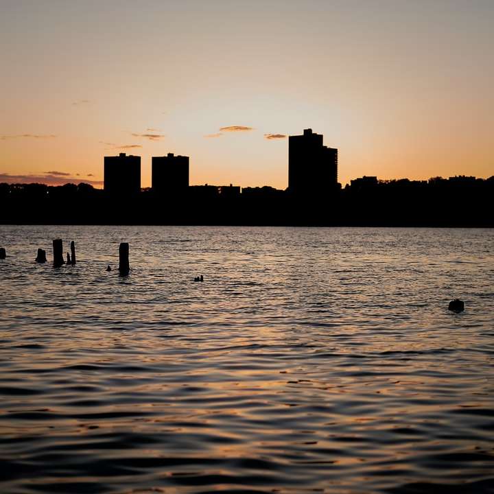 sylwetka ludzi na morzu podczas zachodu słońca puzzle online