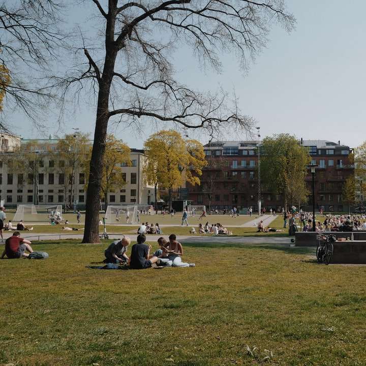 Leute sitzen auf einer Bank in der Nähe von Bäumen und Gebäude Online-Puzzle