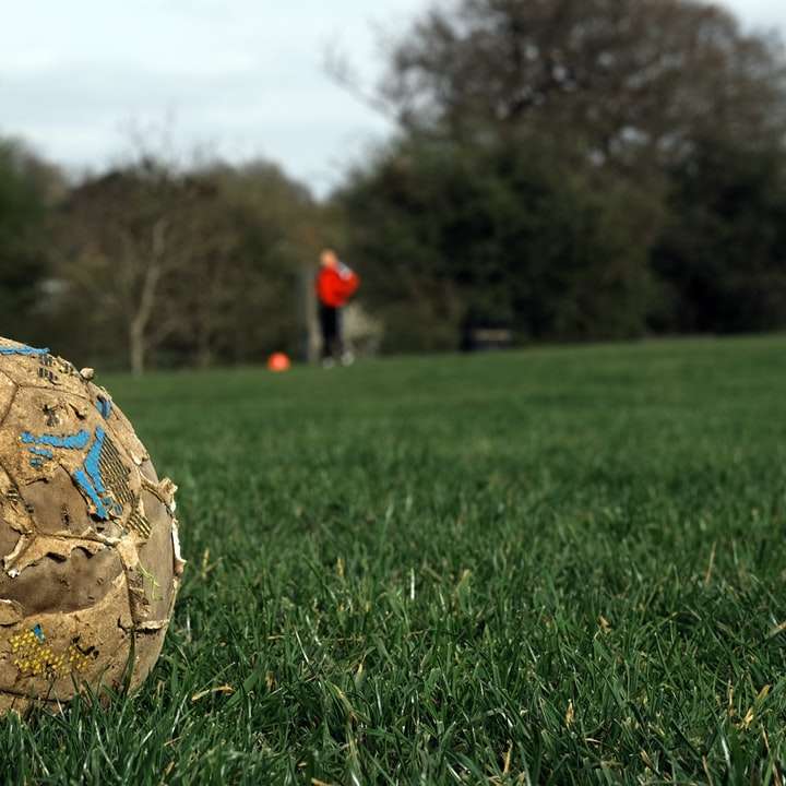бяла футболна топка на зелено тревно игрище през деня онлайн пъзел