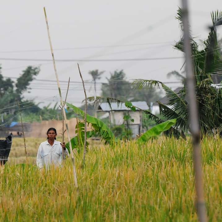 человек в белой рубашке стоит на поле зеленой травы онлайн-пазл