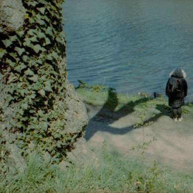 水域の近くの緑の草の上の黒い短いコーティングされた犬 スライディングパズル・オンライン