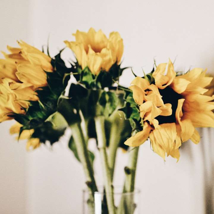 Fleur jaune dans un vase en verre clair puzzle en ligne
