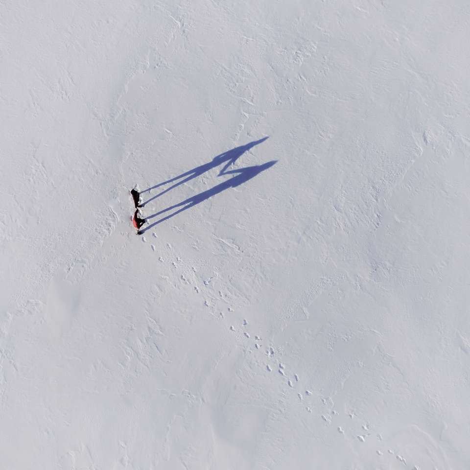 човек върви по покрито със сняг поле през деня плъзгащ се пъзел онлайн