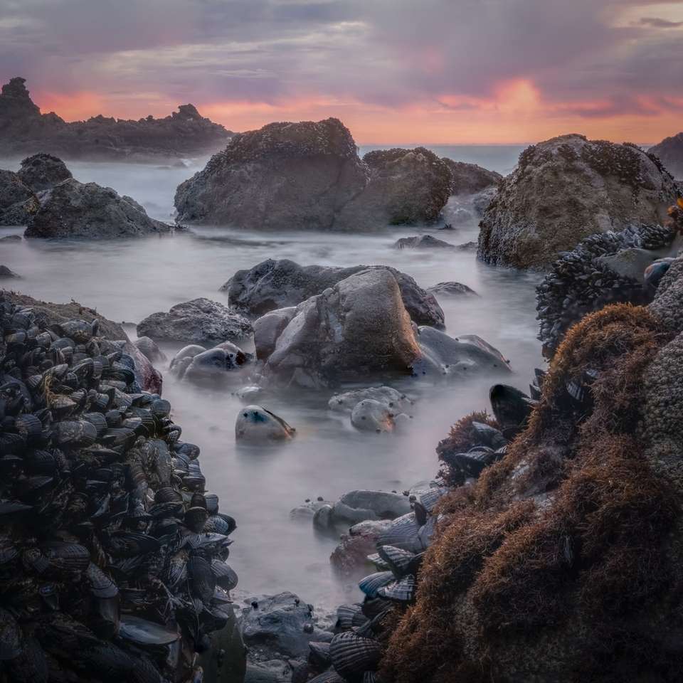 rotsachtige kust met rotsen onder bewolkte hemel overdag schuifpuzzel online