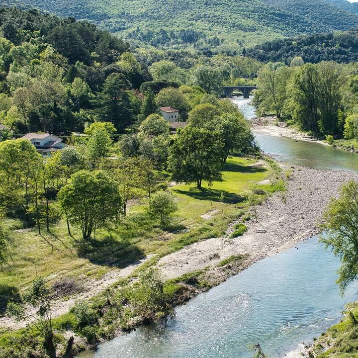 zelené stromy poblíž řeky během dne posuvné puzzle online