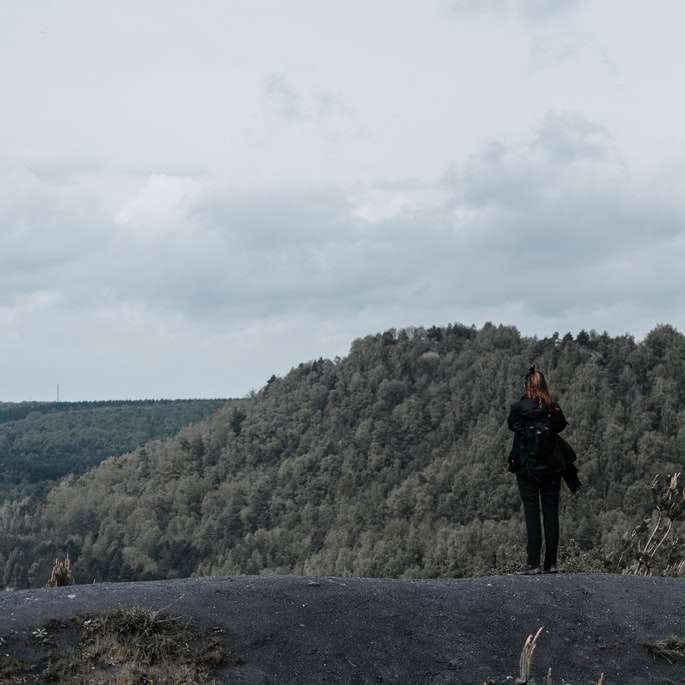 persona in giacca nera in piedi sulla roccia vicino al fiume puzzle online