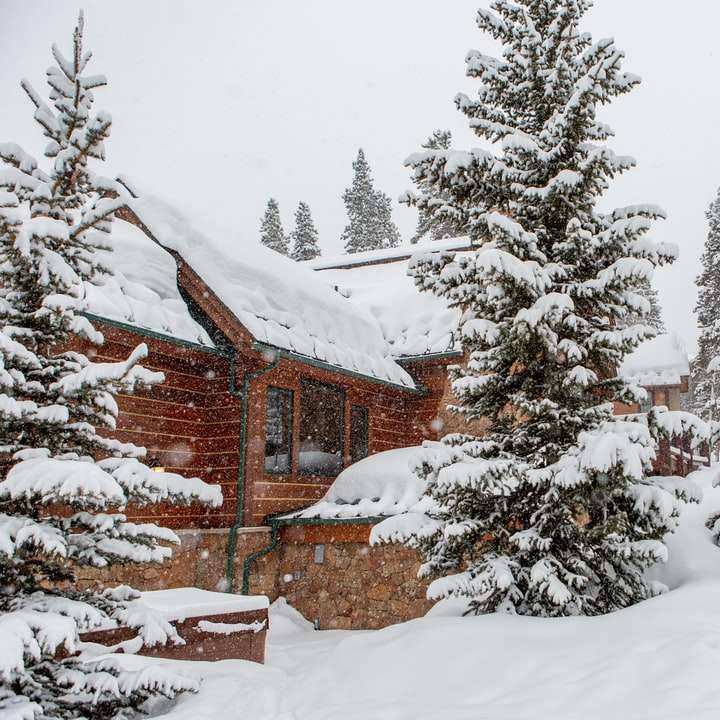 casă maro lângă pini verzi acoperiți cu zăpadă alunecare puzzle online