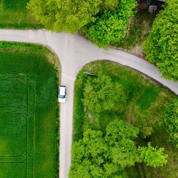 vue aérienne du champ d'herbe verte puzzle coulissant en ligne