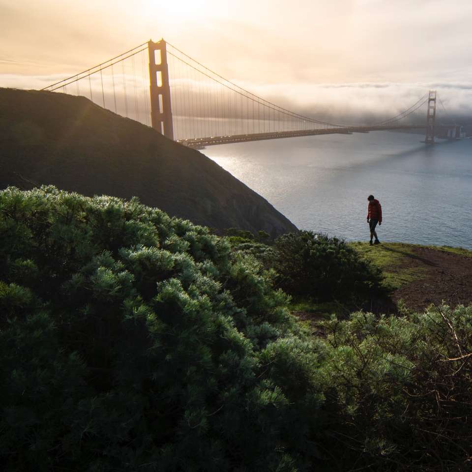 πρόσωπο που στέκεται στο πράσινο γρασίδι κοντά στη γέφυρα Golden Gate συρόμενο παζλ online