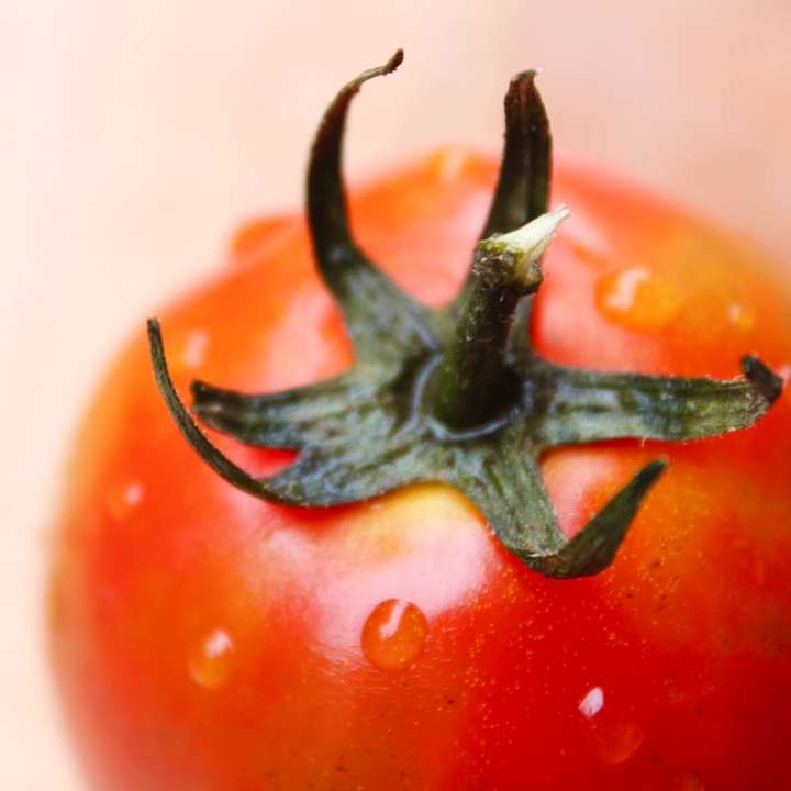 κόκκινη ντομάτα σε λευκή επιφάνεια συρόμενο παζλ online