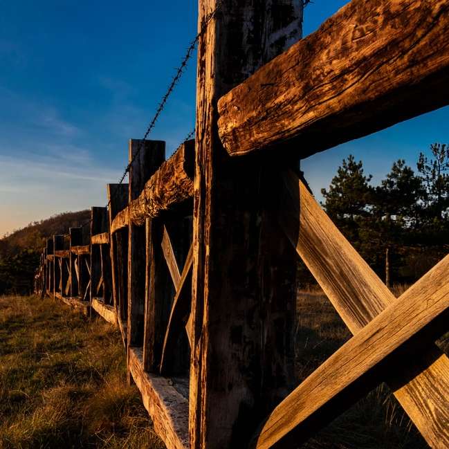 barna, fából készült kerítés, zöld füves területen napközben online puzzle