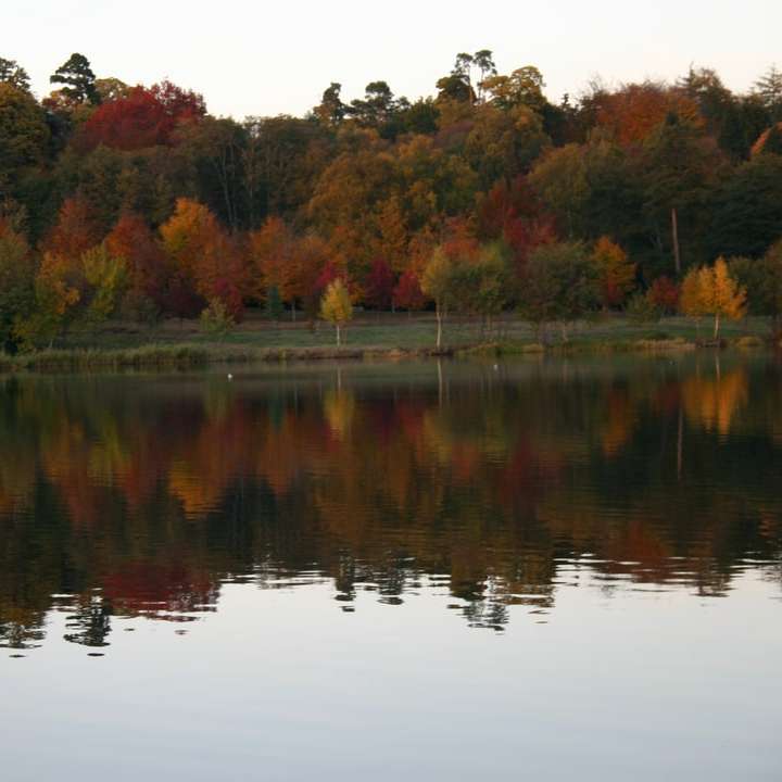 árvores verdes e marrons ao lado do lago durante o dia puzzle deslizante online