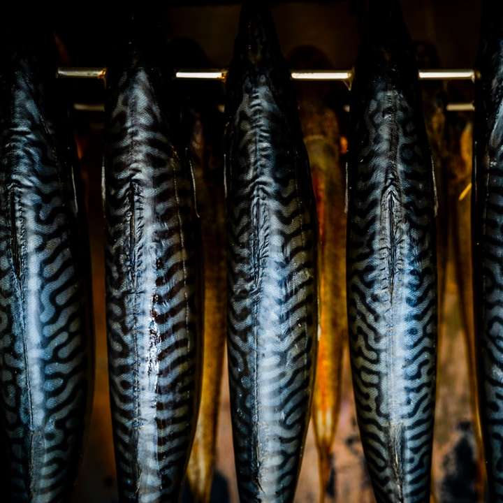 μαύρο και γκρι ψάρι σε μαύρο μεταλλικό σκελετό online παζλ