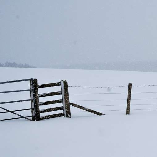雪に覆われた地面に茶色の木製の柵 スライディングパズル・オンライン