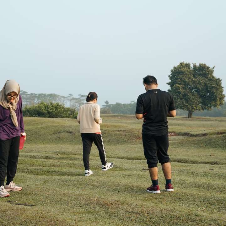 3 mannen en 2 vrouwen staan ​​op groen grasveld schuifpuzzel online