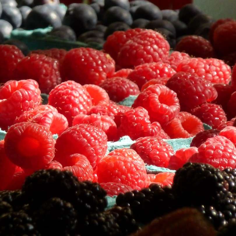röda hallonfrukter i tilt shift-linsen glidande pussel online