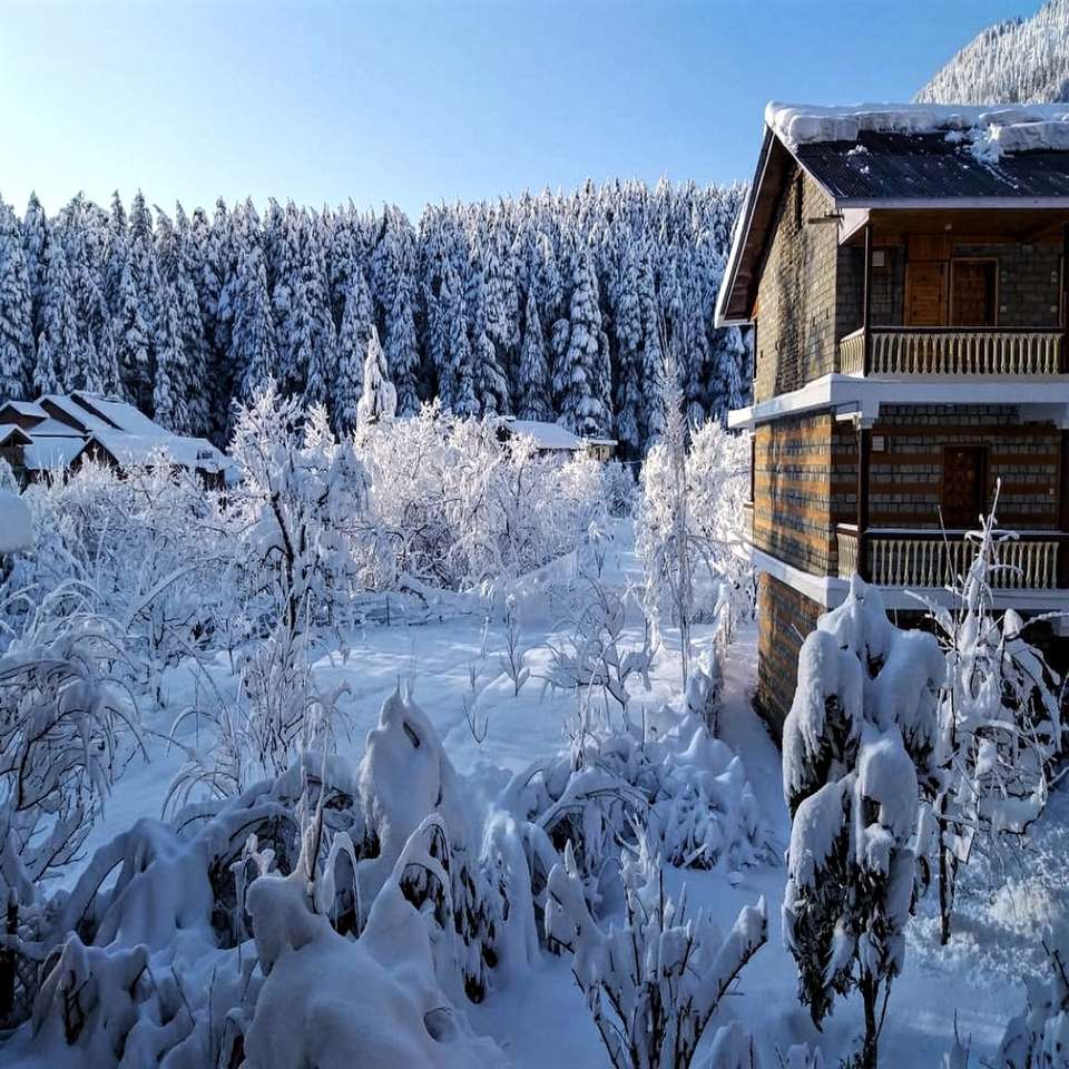 casa di legno marrone ricoperta di neve durante il giorno puzzle scorrevole online