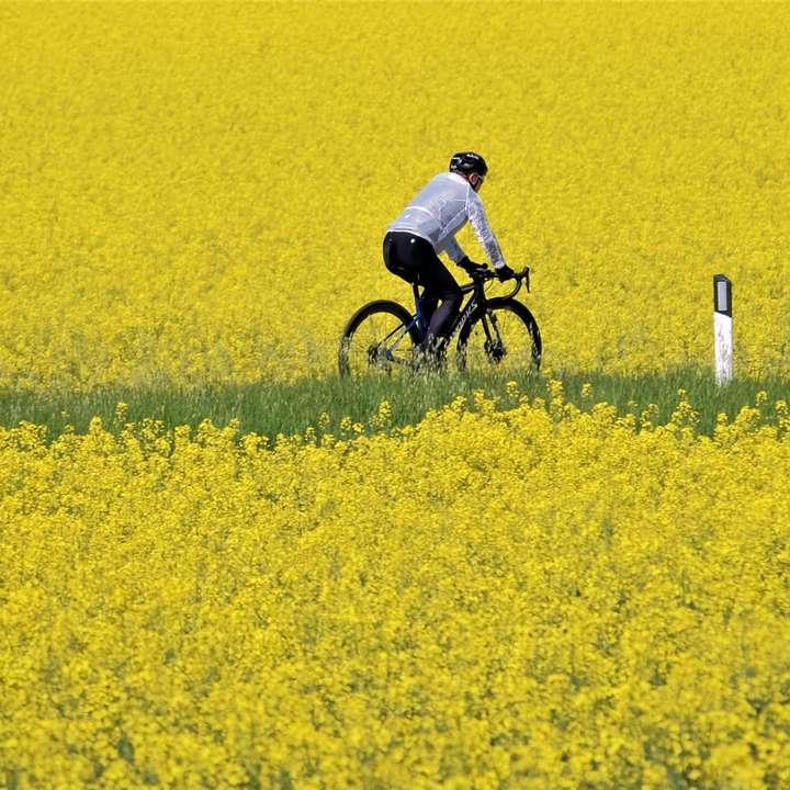 άνδρας με λευκό πουκάμισο ιππασία ποδήλατο σε κίτρινο πεδίο λουλουδιών online παζλ