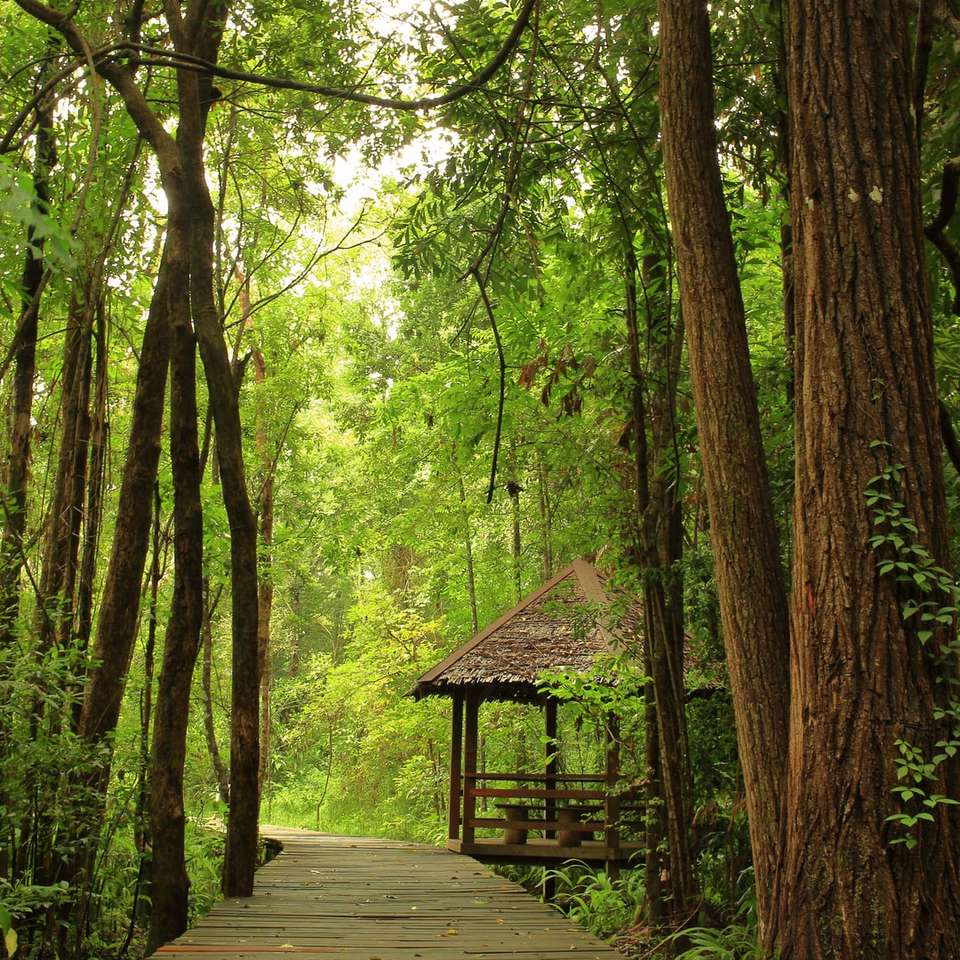 hnědý dřevěný most v lese online puzzle