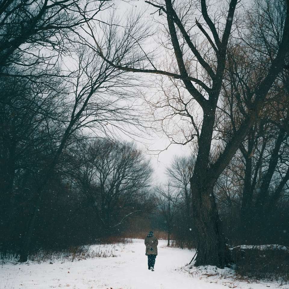 persoon in zwarte jas staande op besneeuwde grond schuifpuzzel online