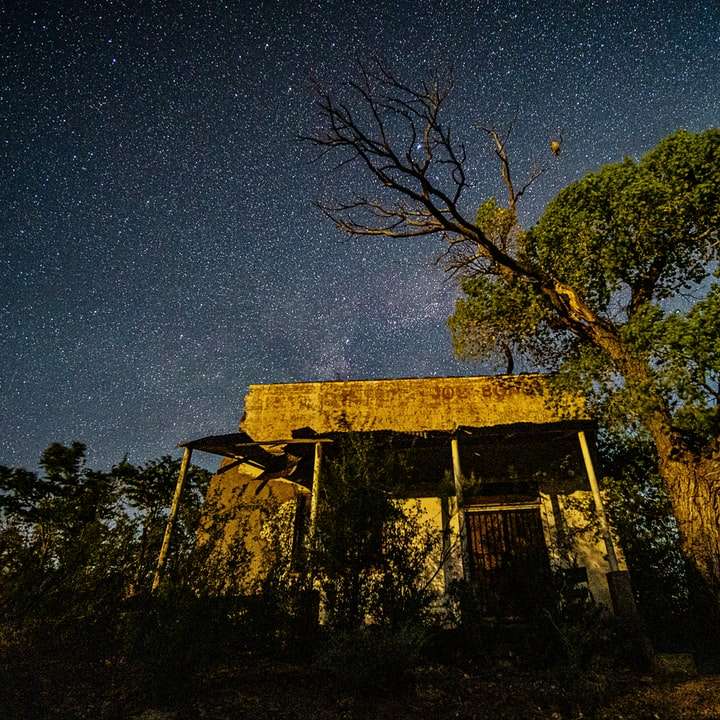 καφέ ξύλινο σπίτι κοντά σε πράσινα δέντρα κατά τη διάρκεια της νύχτας online παζλ