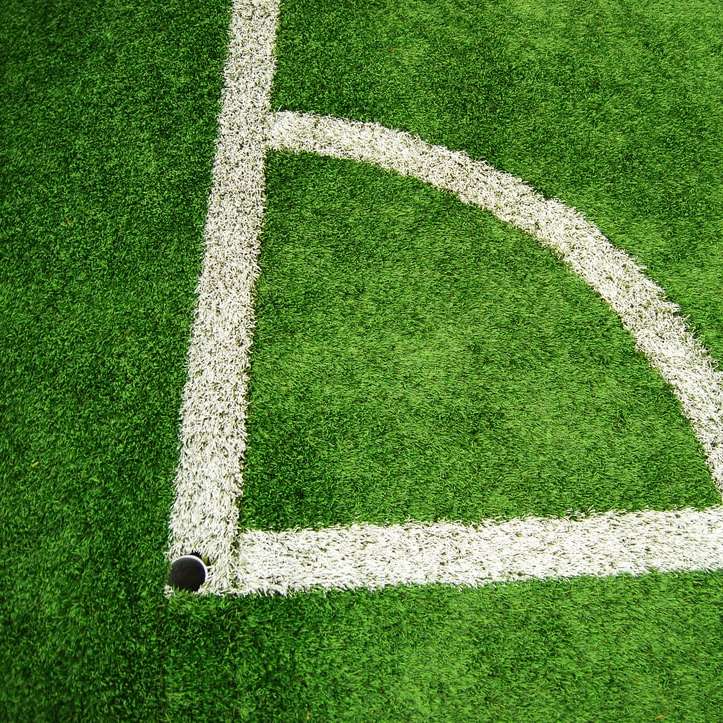 zelené a bílé fotbalové hřiště online puzzle