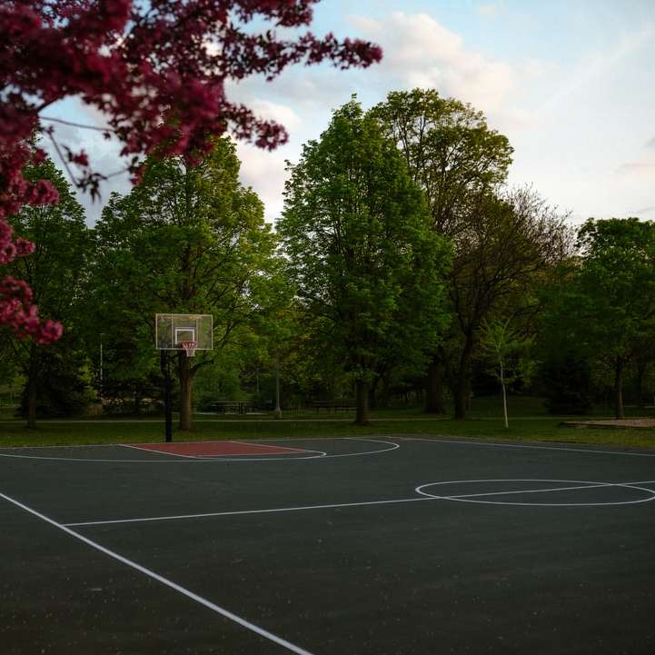 czarno-biała obręcz do koszykówki w pobliżu zielonych drzew puzzle online