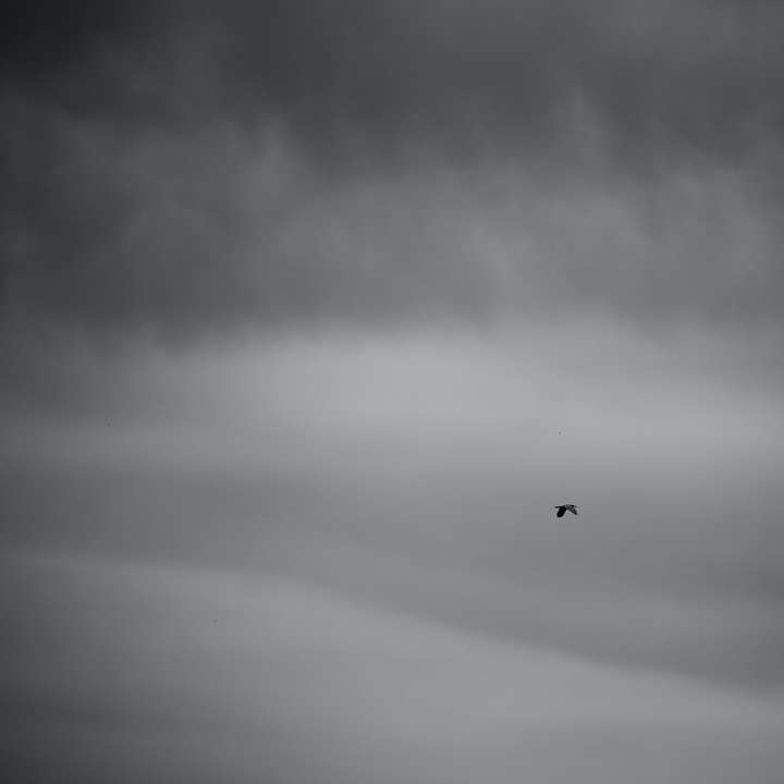 gråskalefoto av flygplan i luften glidande pussel online