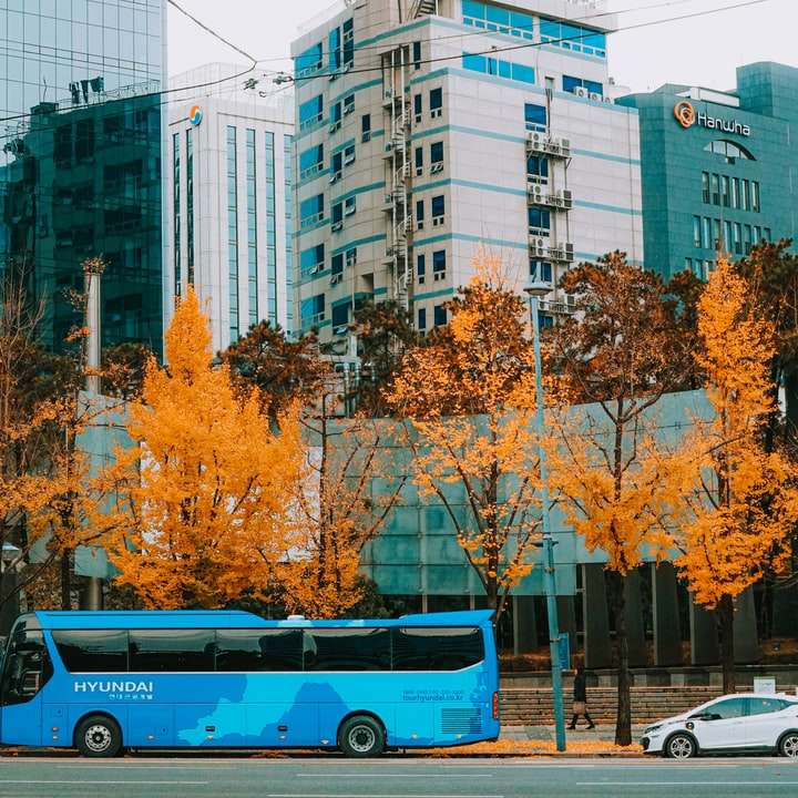 Zielony i biały autobus na drodze blisko wysokich budynków puzzle online