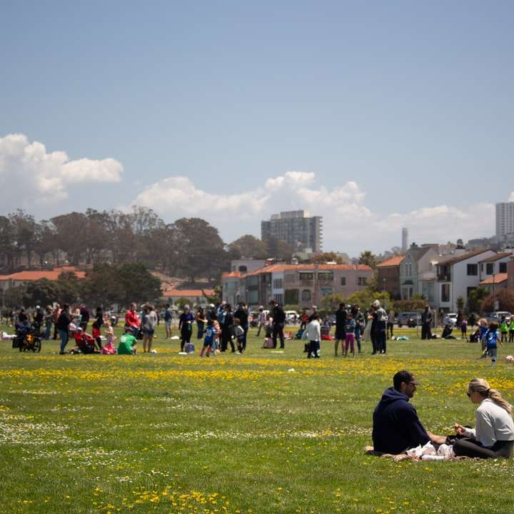 persone sedute sul campo di erba verde durante il giorno puzzle online